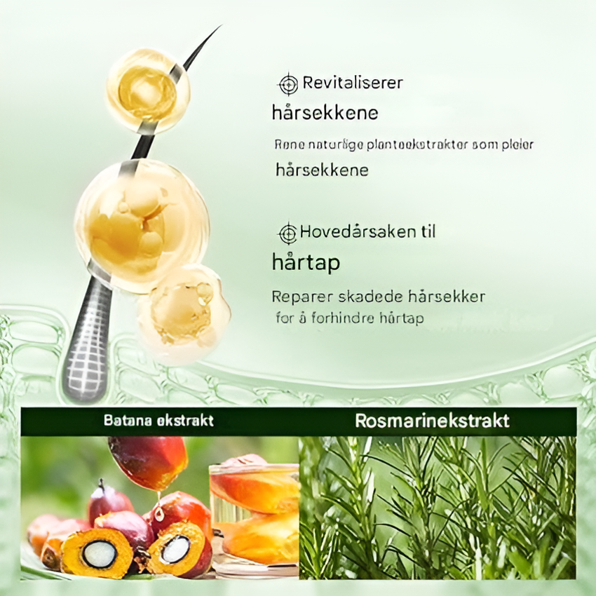 Shampoo med Batanaolje - Hårvekst og Pleie