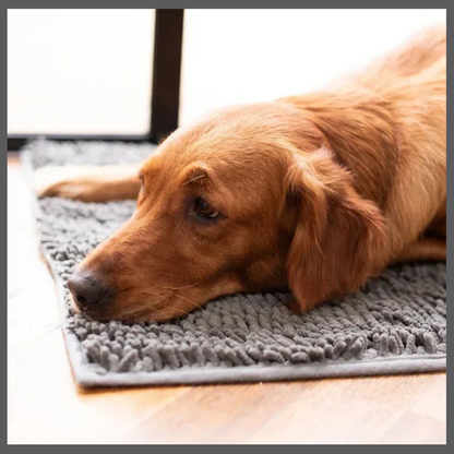 PawClean™ – Absorberende Matte mot Spor