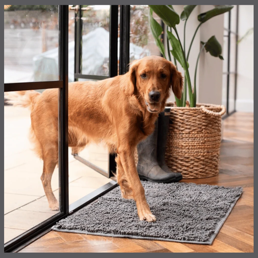 PawClean™ – Absorberende Matte mot Spor