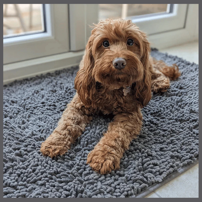 PawClean™ – Absorberende Matte mot Spor