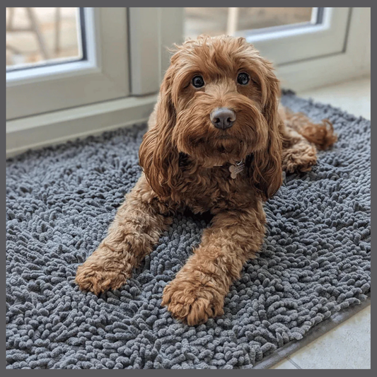 PawClean™ – Absorberende Matte mot Spor