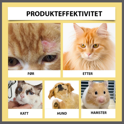 Dermapaws™ – Naturlig Kløedempende Spray